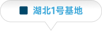 湖北合资工厂